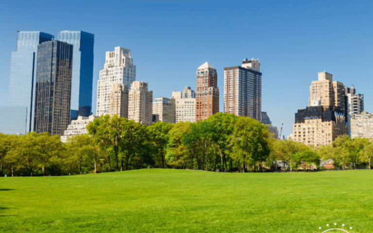 Soczewki okularowe BioLINE –  naturalna rewolucja w polskich salonach optycznych